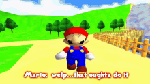 Smg4 Mario GIF - Smg4 Mario Welp That Oughta Do It GIFs