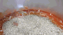 a close up of a pot of food with the words made in animatica in the corner
