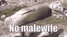 Seals Malewife GIF - Seals Malewife GIFs