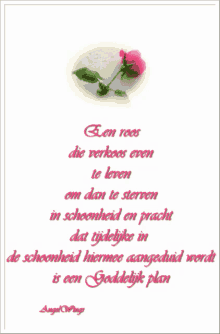 Roos Gedicht GIF - Roos Gedicht Flower GIFs