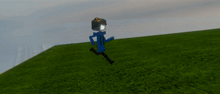 a person in a blue jacket is standing in a grassy field holding a torch