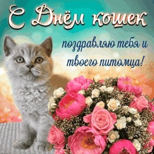 a kitten sitting next to a bouquet of pink flowers with a blue background