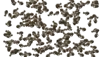 a computer generated image of a bunch of tiny animals on a white background