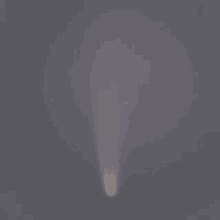 Comet Neowise Comet GIF - Comet Neowise Comet Neowise GIFs