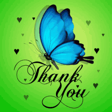 Thank You Butterfly GIF - Thank You Butterfly Hearts GIFs