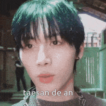 a close up of a person 's face with green hair and the words taesan de an written on it .