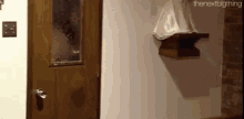 a person is standing in a hallway next to a door with a broken glass window .