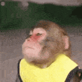 Monkey Yellow GIF