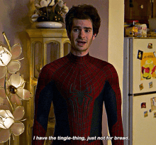 Spider Man I Have The Tingle Thing GIF - Spider Man I Have The Tingle Thing Just Not For Bread GIFs
