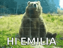 a picture of a bear behind a fence with the words hi emilia below it