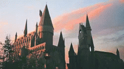 Harry Potter Universal Studios GIF - Harry Potter Universal Studios Wizard GIFs