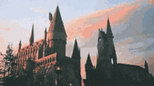 Harry Potter Universal Studios GIF - Harry Potter Universal Studios Wizard GIFs