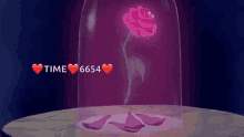 Beauty And The Beast Rose GIF - Beauty And The Beast Rose Flower GIFs