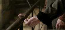 a person holding a small bird on a railing with the words " theroseinthedarkness.tumblr " at the bottom of the image