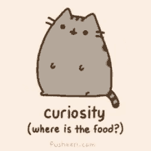 curiosity pusheen