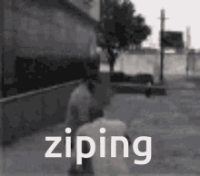 Ziping Gta5 GIF - Ziping Gta5 GIFs