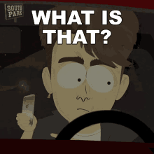 What Is That Tommy GIF - What Is That Tommy South Park GIFs