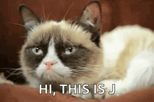 a grumpy cat laying on a couch with the words hi this is j above it