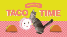 Taco Time Kitty GIF - Taco Time Kitty Tacos GIFs