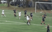 Lycoming Womenssoccer GIF