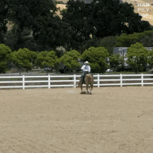 Horse Gallop GIF - Horse Gallop Fast GIFs