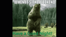 Good Night The Weekend Is Finally Here GIF