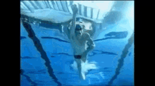 Kosuke Kitajima GIF - Kosuke Kitajima Kitajima Kosuke Swim GIFs