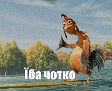 a cartoon chicken is standing on a raft in the water with the words iba чотко written on the bottom