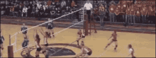 Volleyball Player Ko GIF - Spike Volleyball Nailed GIFs
