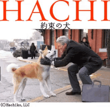 面白い おかしい 忠犬ハチ公 可愛い犬 柴犬 しば犬 GIF - Hachi Neck Stretch GIFs