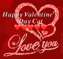 valentines love cat happy valentines day heart