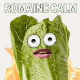 Romaine Calm Remain Calm GIF - Romaine Calm Remain Calm Keep Calm GIFs