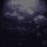 a purple background with bubbles in the water