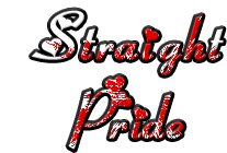 Straight Pride Sticker - Straight Pride Stickers