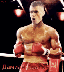 Szymanski Boxer GIF - Szymanski Boxer Boxing Ring GIFs