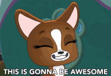 Awesome Gonna Be Awesome GIF - Awesome Gonna Be Awesome Roxie Mcterrier GIFs