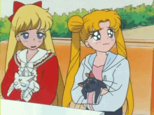 Sailor Moon Venus GIF - Sailor Moon Venus Usagi GIFs