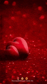 a red background with the words " all the best "
