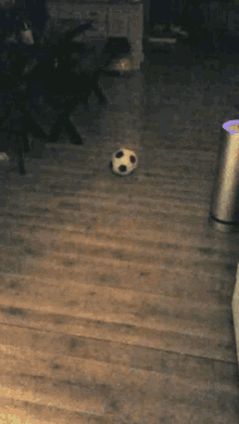 Cat Soccer GIF - Cat Soccer Ball GIFs