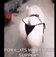 sexy pig