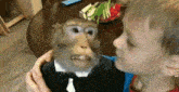мавп Monkey GIF - мавп Monkey зроз GIFs