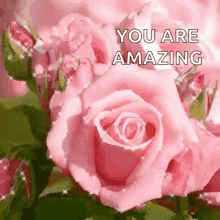 Sparkles You Are Amazing GIF - Sparkles You Are Amazing Flowers GIFs