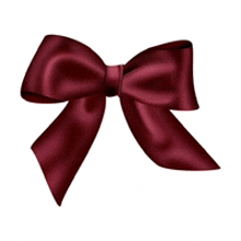 a burgundy bow with a white background
