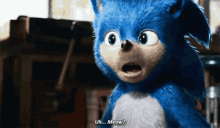 Uh Meow Sonic The Hedgehog GIF - Uh Meow Meow Sonic The Hedgehog GIFs