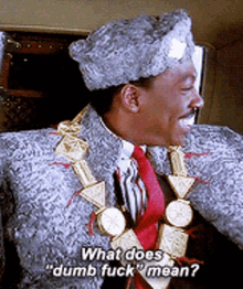 What Does It Mean Dumb Fuck GIF - What Does It Mean Dumb Fuck Eddie Murphy GIFs