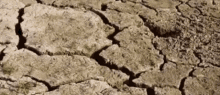 Cracked Earth Desert GIF - Cracked Earth Desert Dry GIFs