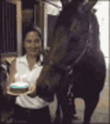 birthday cake horse silly neigh