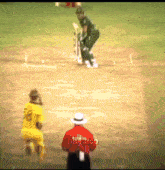 a blurred image of a cricket game with a man in a yellow shirt with the number 28