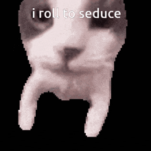 a pixelated image of a cat with the words " i roll to seduce " above it