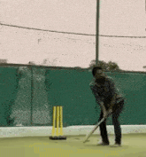 Cricket Gullycricket GIF